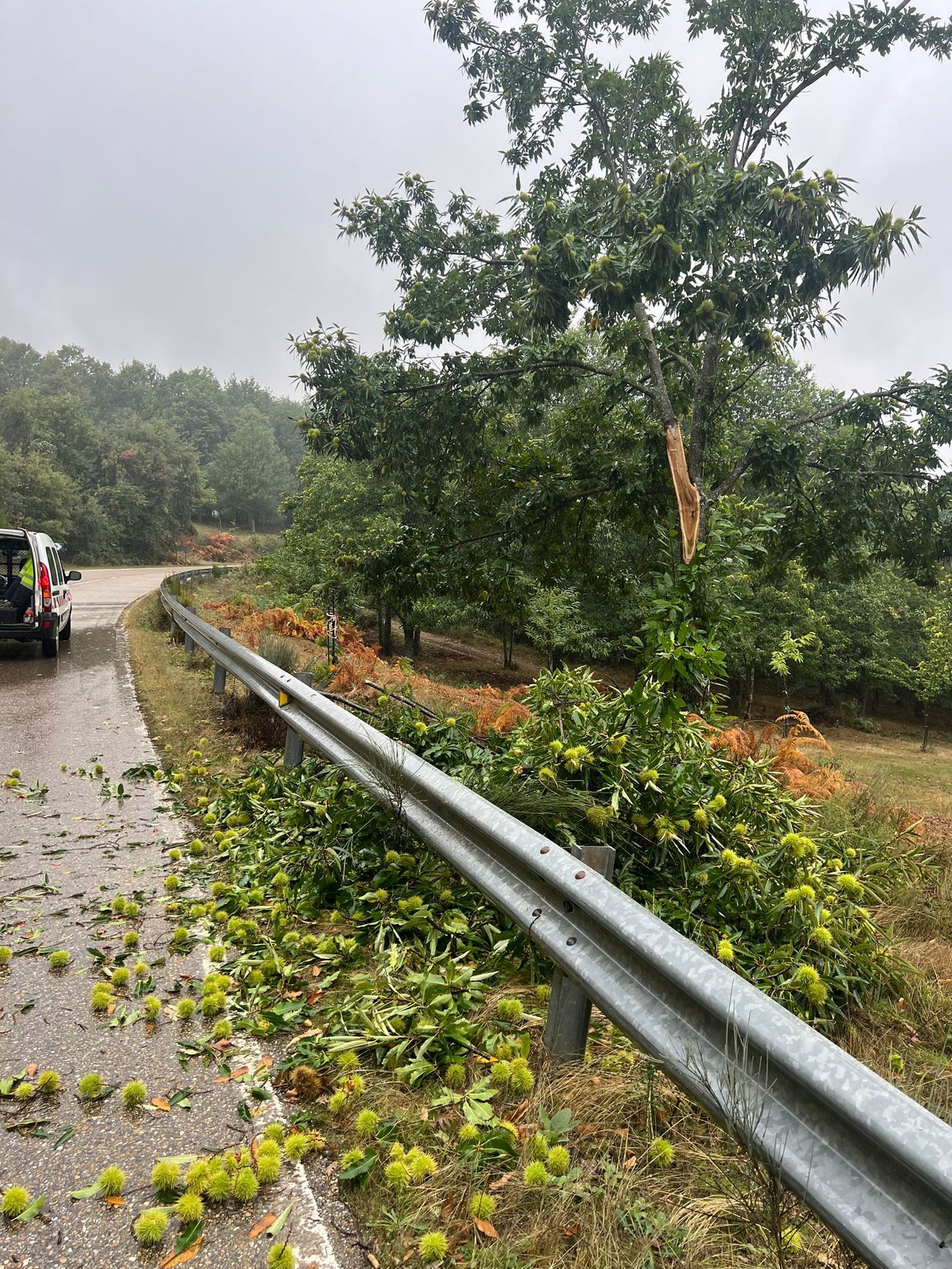 imagen-de-whatsapp-2024-10-09-a-las-11-48-54-39faf696