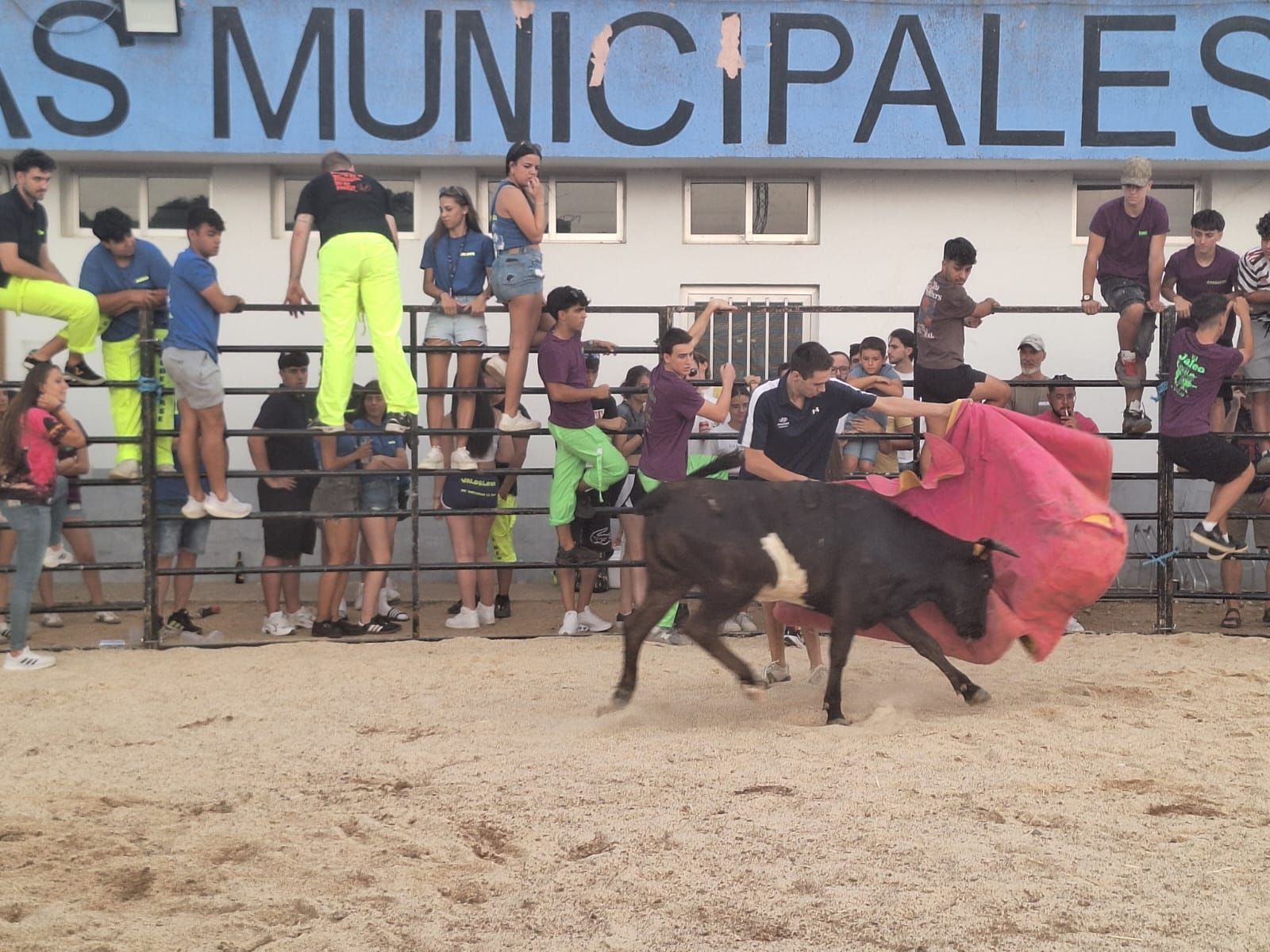 Cientos de personas disfrutan de las vaquillas de Valdelosa