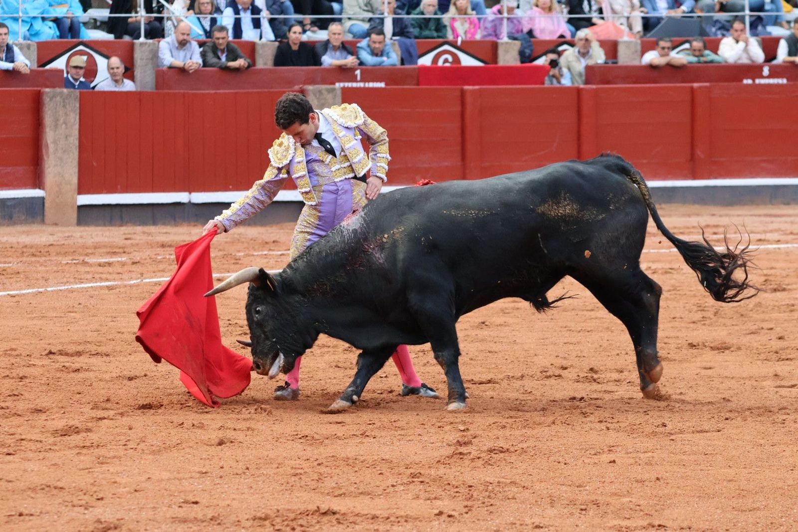 20230915182849-img-4120