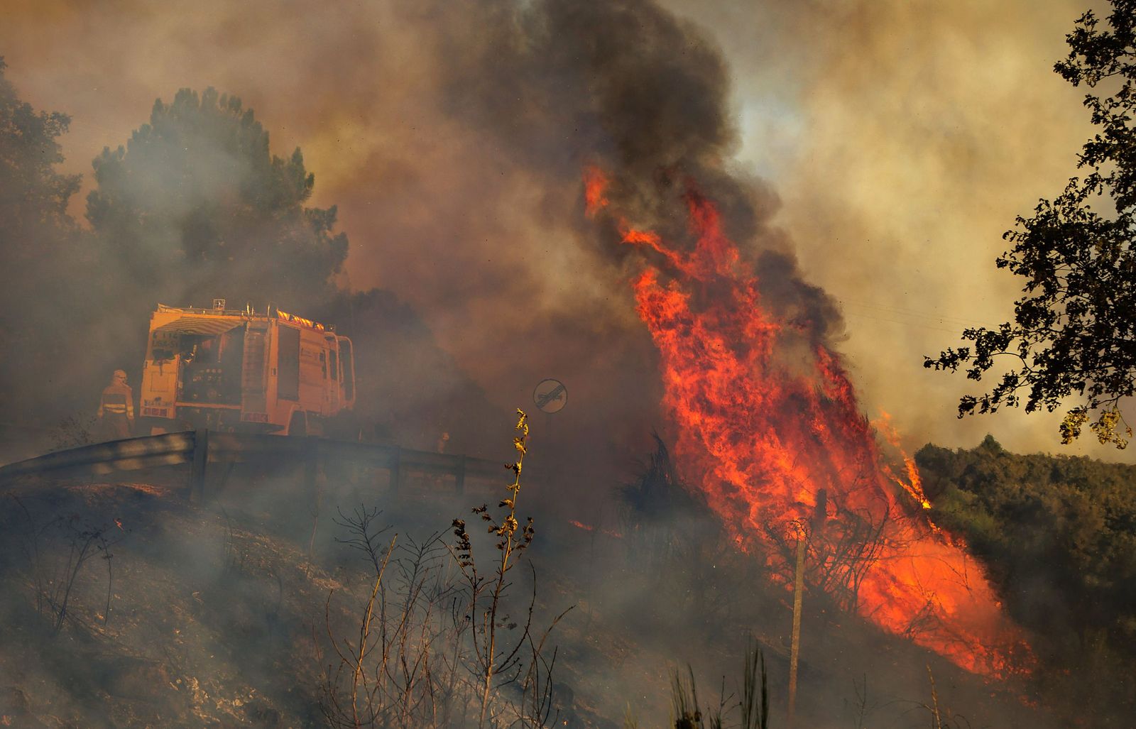 Incendio forestal en El Payo, ICAL José Vicente (4).jpg