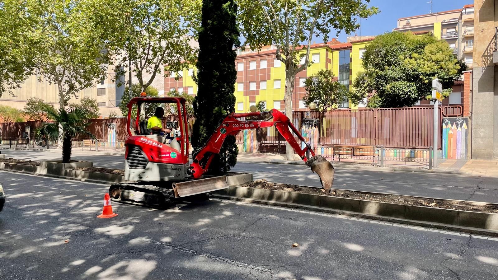 El  Ayto. Salamanca  renueva la mediana del paseo de Carmelitas con 2.590 nuevas plantas arbustivas.