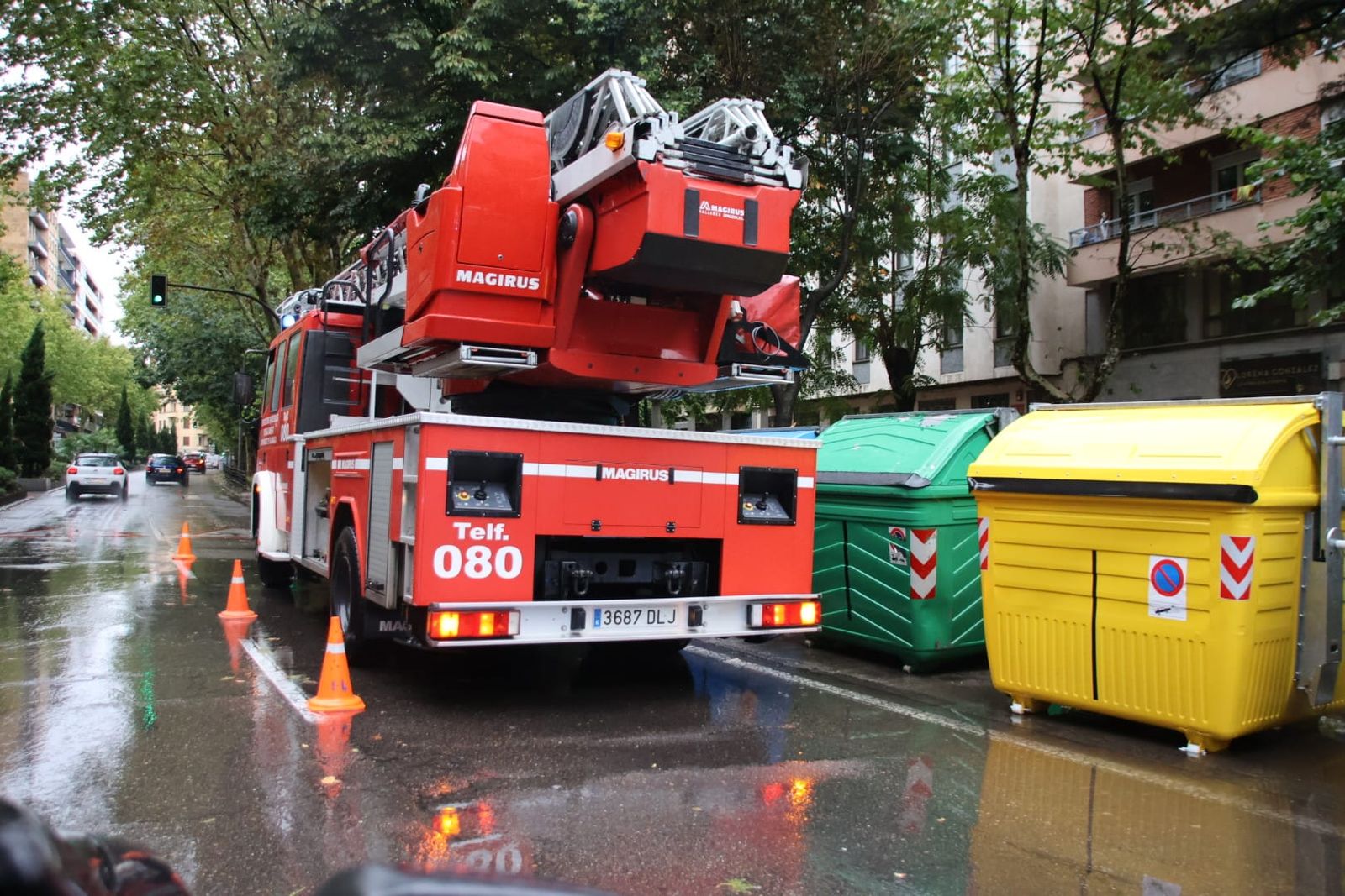 bomberos-y-policia-local-de-salamanca-actuando-en-el-paseo-de-carmelitas-por-la-caida-de-una-rama-6