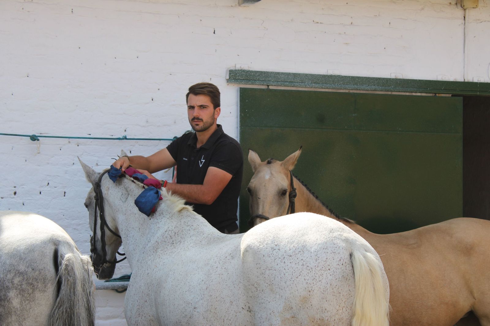 Sorteados los novillos de Montalvo para Raquel Martín y Olga Casado en el primer festejo de la feria en La Glorieta
