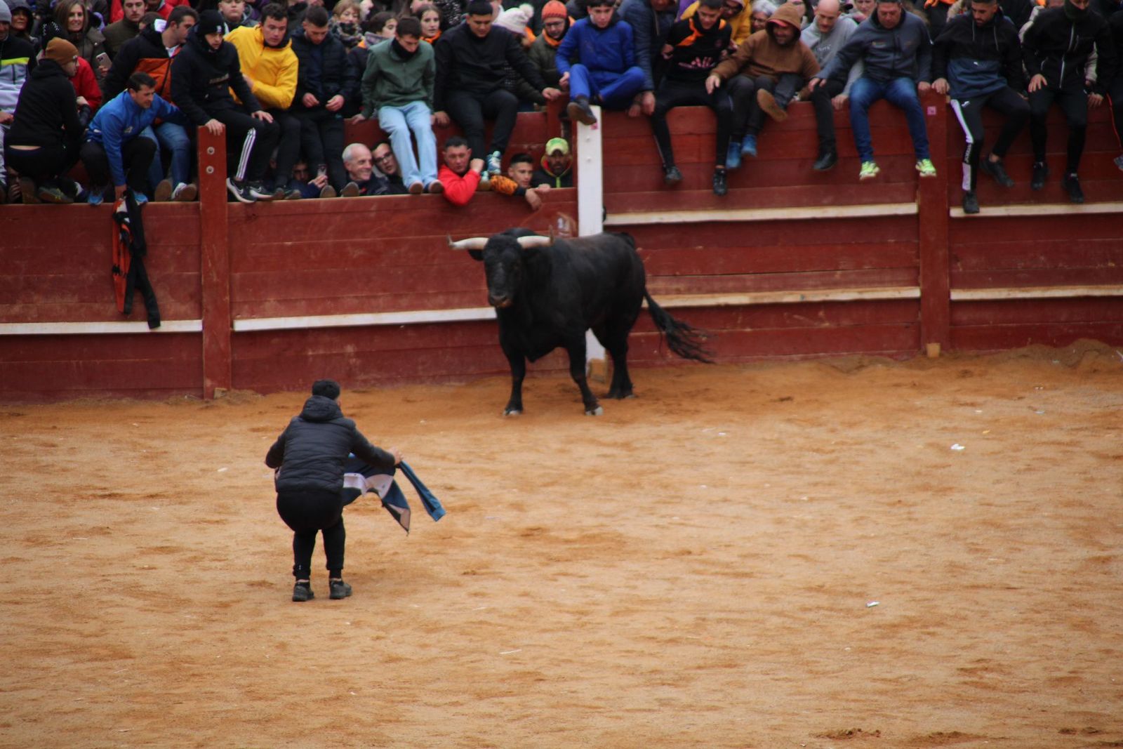 whatsapp-image-2025-03-01-at-13-18-52-1