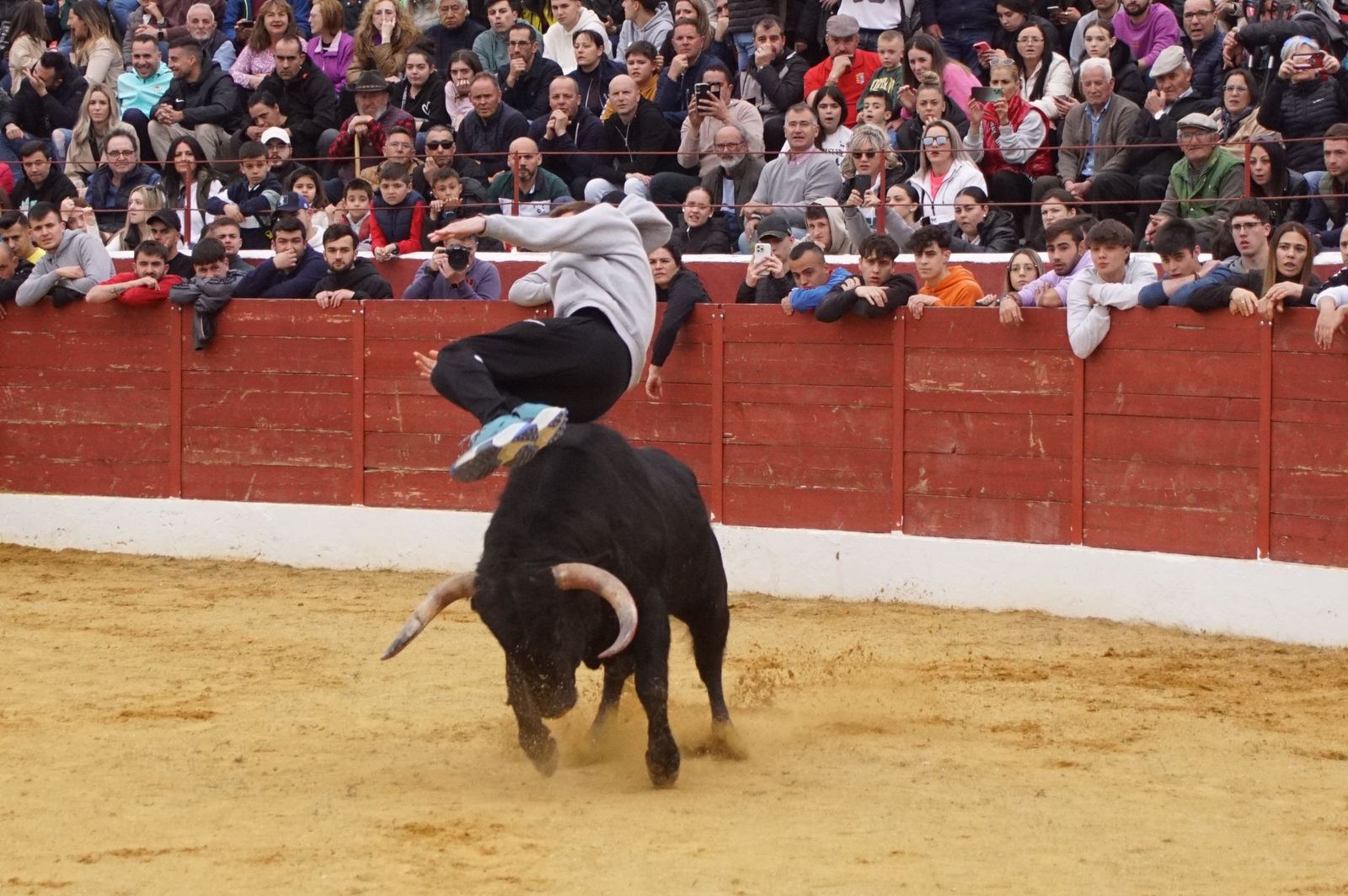 ambiente-y-participacion-durante-el-toro-del-voto-en-villoria-suelta-de-dos-toros-del-cajon-foto-juanes-13