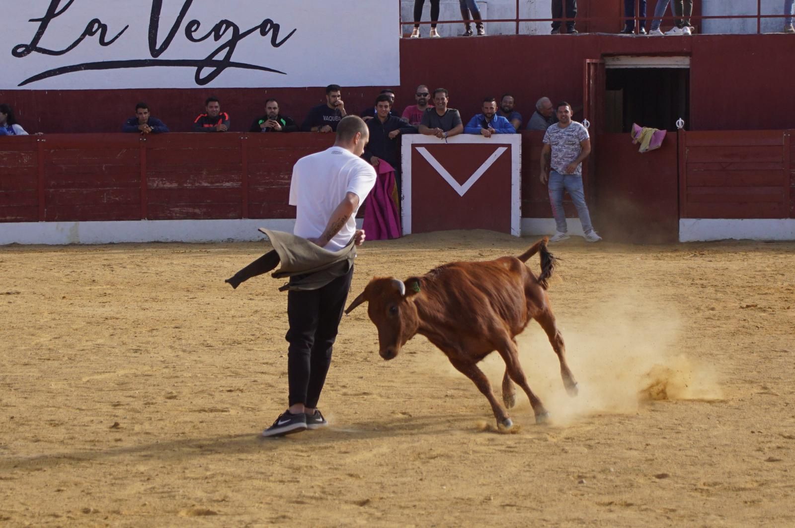 whatsapp-image-2024-09-08-at-14-05-22