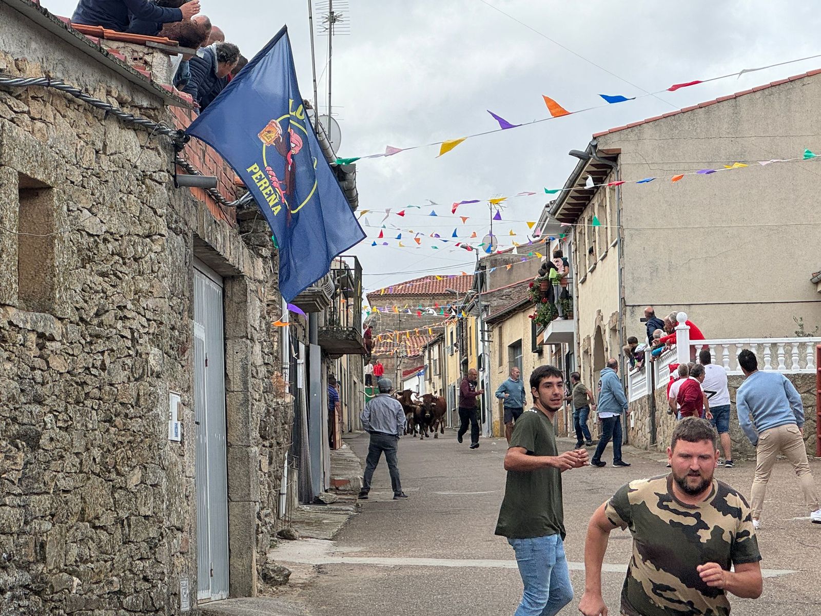 Segundo encierro con novillos de Valdeflores en Pereña de la Ribera