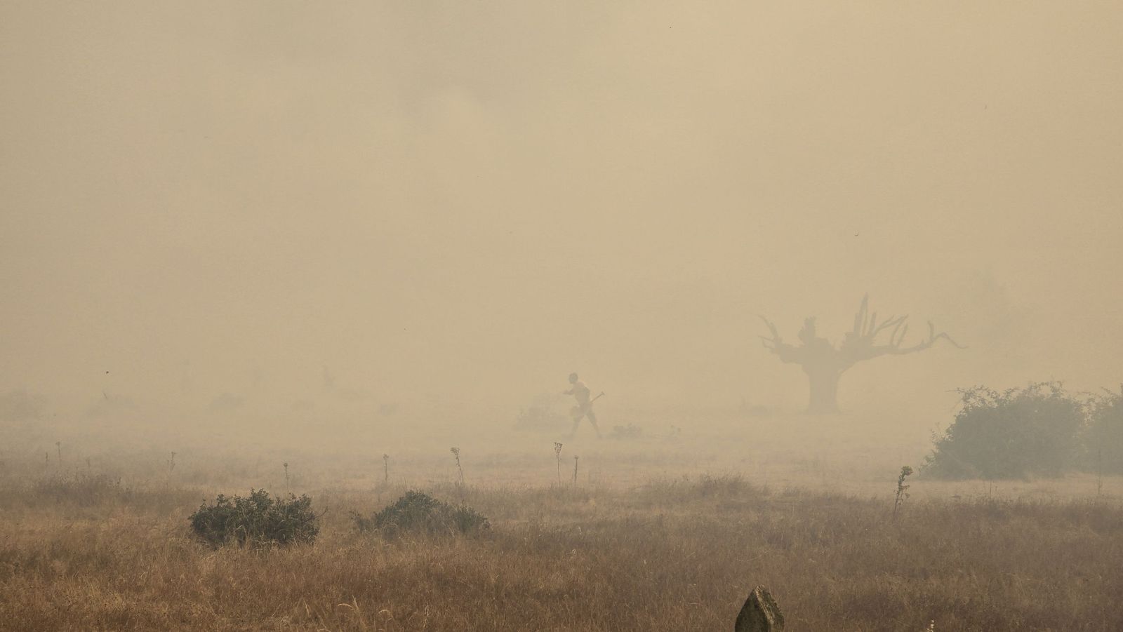 El incendio de Cipérez (IGR2) llega hasta Cerezal de Puertas