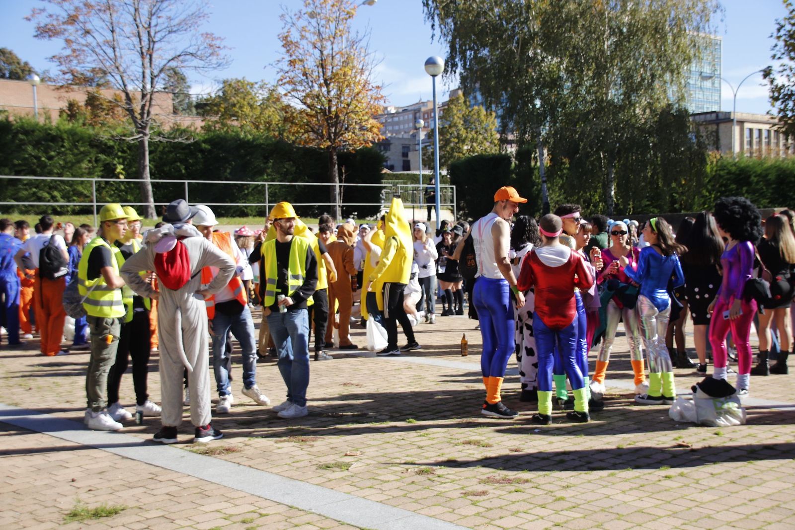 20221110115720-mg-0978