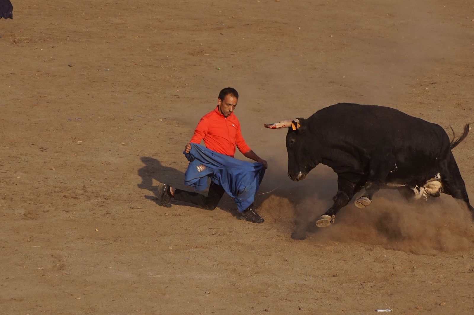 Carreras, risas y tradición: así se ha vivido El Toro en Santa Marta