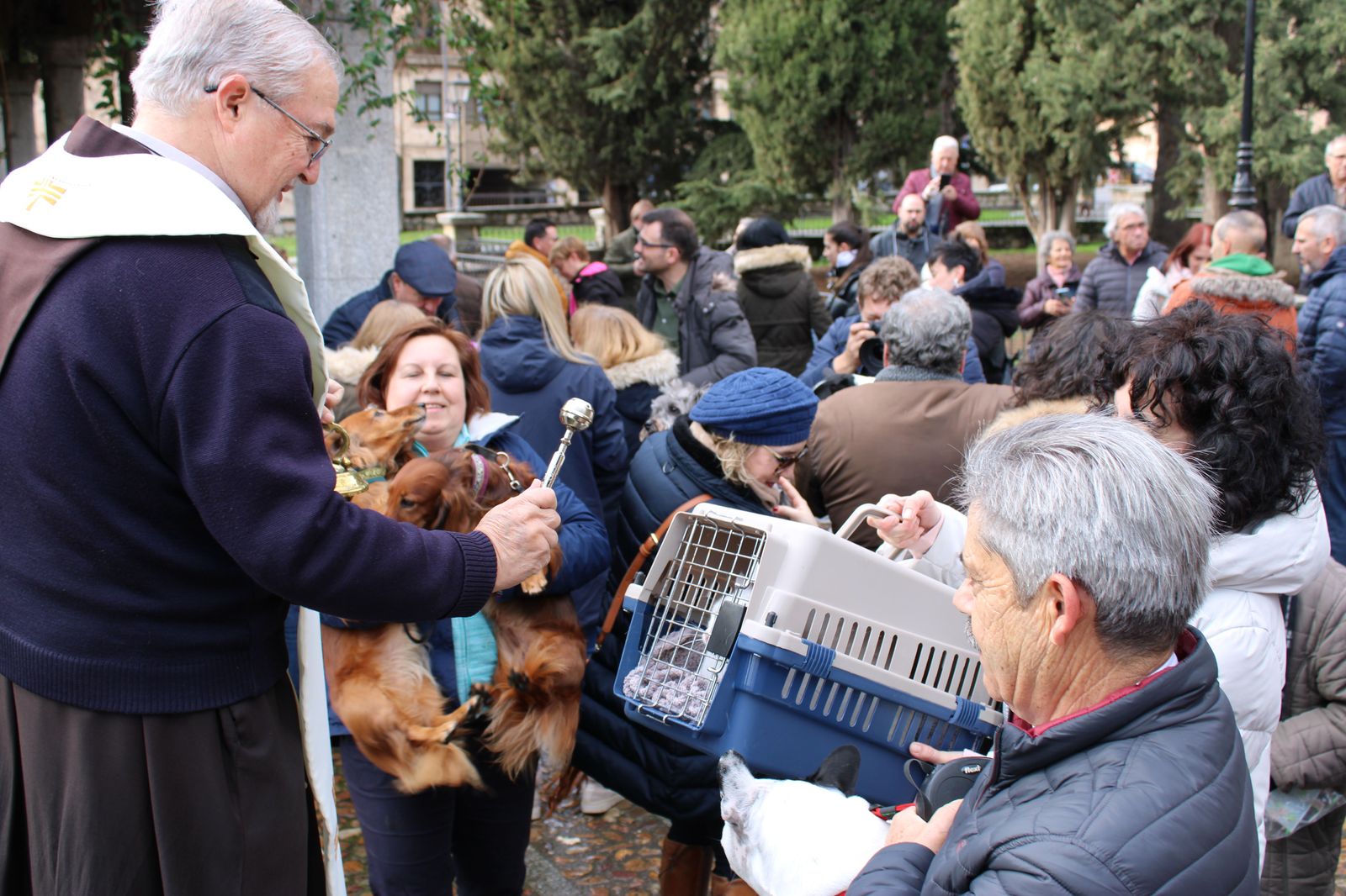 san-anton-bendicion-de-animales-2024-foto-s24h-95