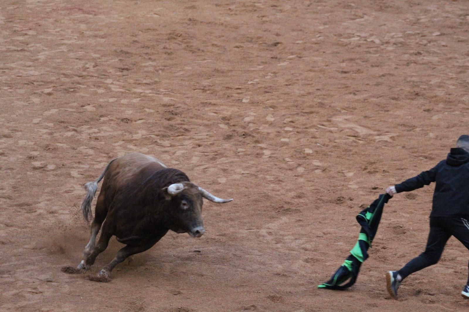 ambiente-y-capea-vespertina-sabado-de-carnaval-en-ciudad-rodrigo-2025-fotos-belen-hurtado-51