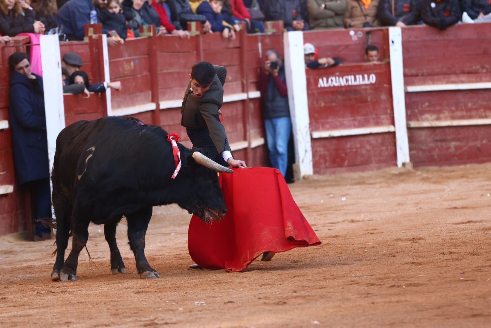 Festival del martes en el Carnaval del Toro 2026