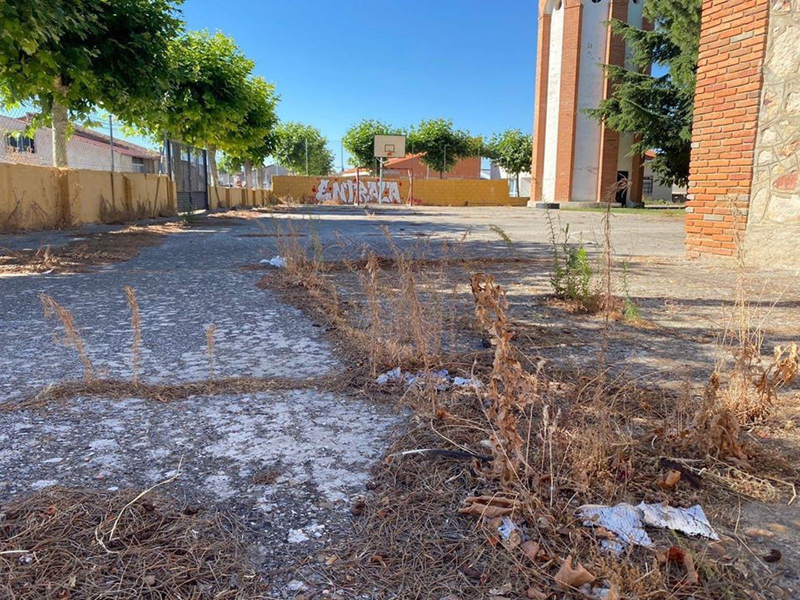 07 PSOE Ayto. Entrala. 07 07 2020 NdP e imágenes. Denuncia dejadez y abandono municipio