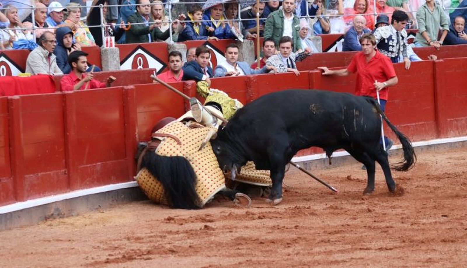 WhatsApp Image 2023 09 15 at 18.50.40