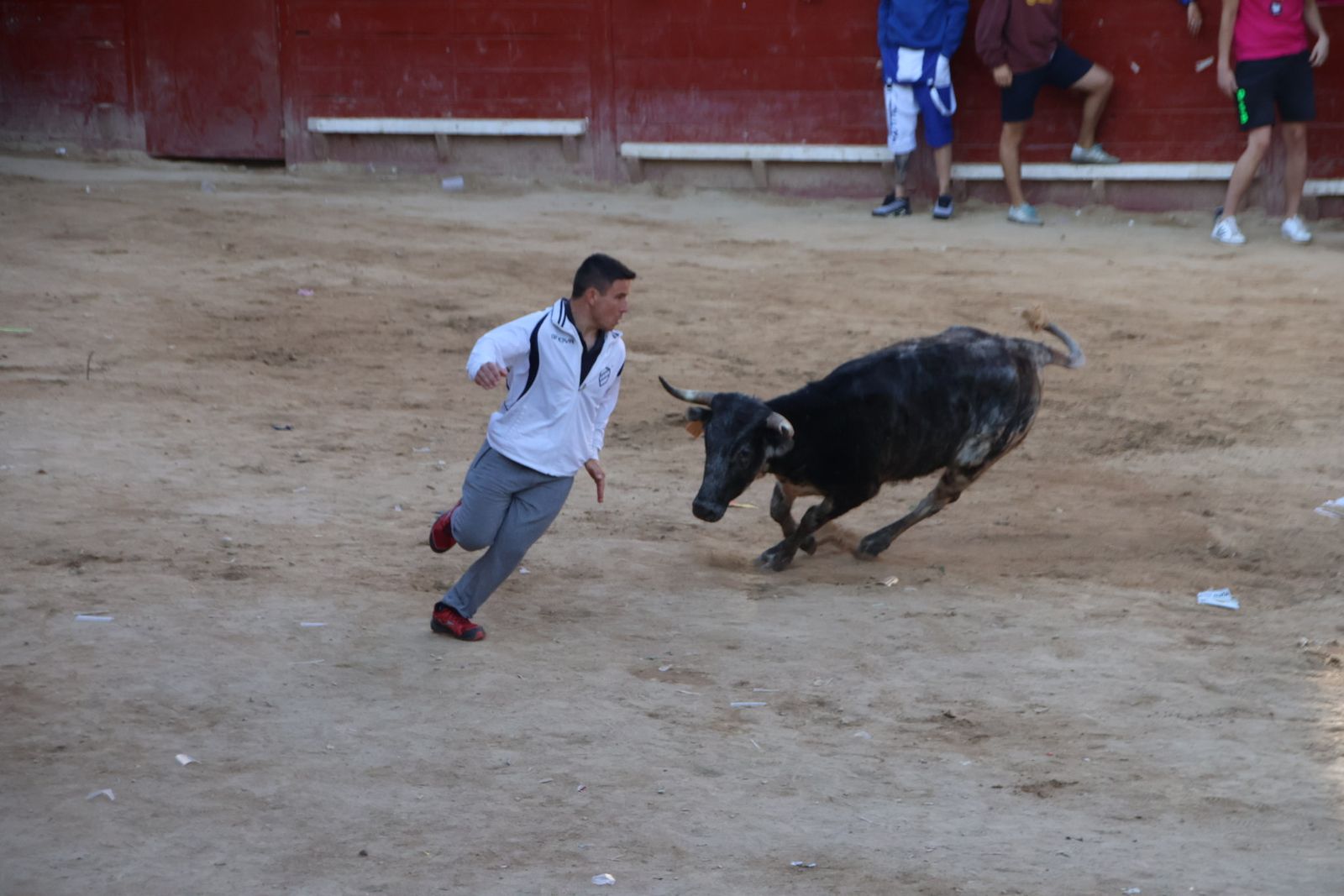Encierro en Aldeadávila