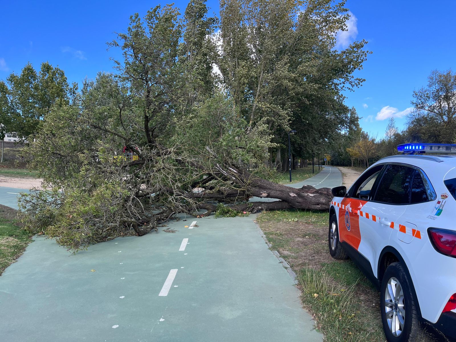 imagen-de-whatsapp-2024-10-09-a-las-17-45-01-83249a15