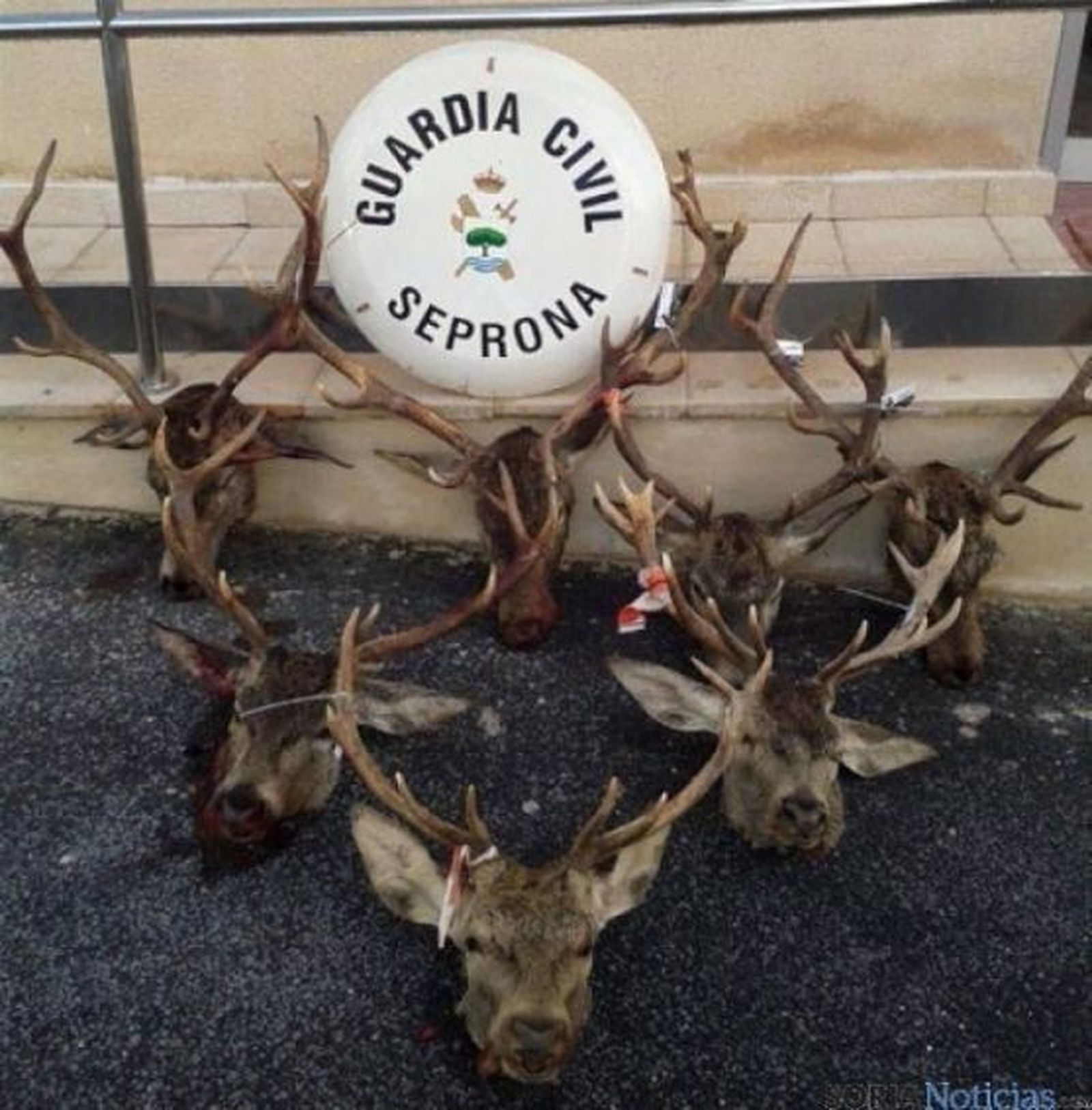 La Guardia Civil presenta 16 denuncias de caza en un coto de Arancón