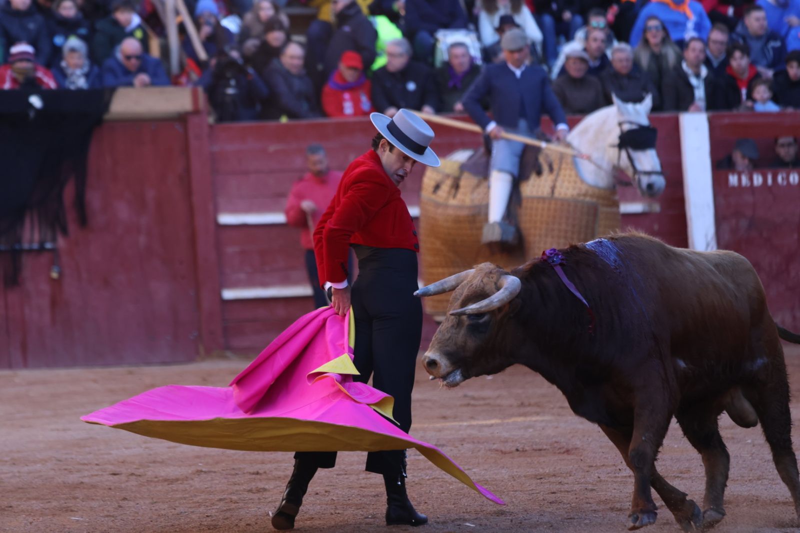 Festival taurino del Sábado en el Carnaval del Toro 2026 de Ciudad Rodrigo