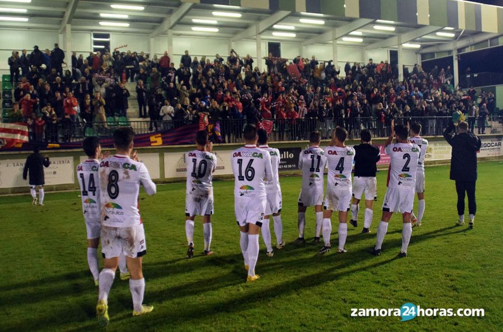 Aficion zamora segovia