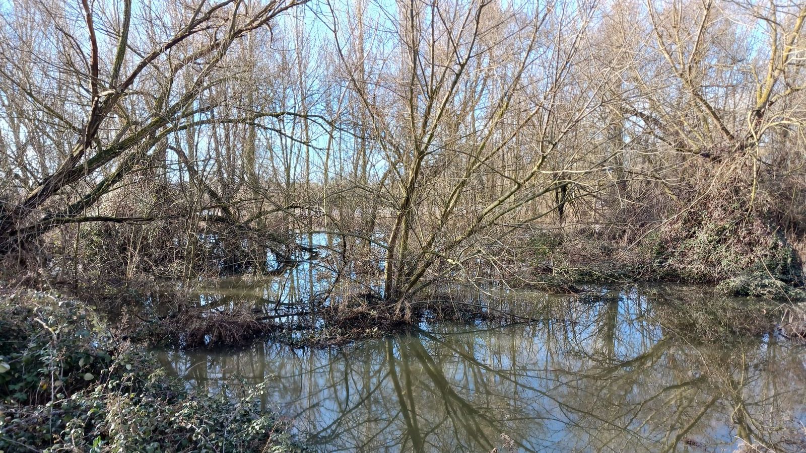 El Tormes a su paso por La Aldehuela