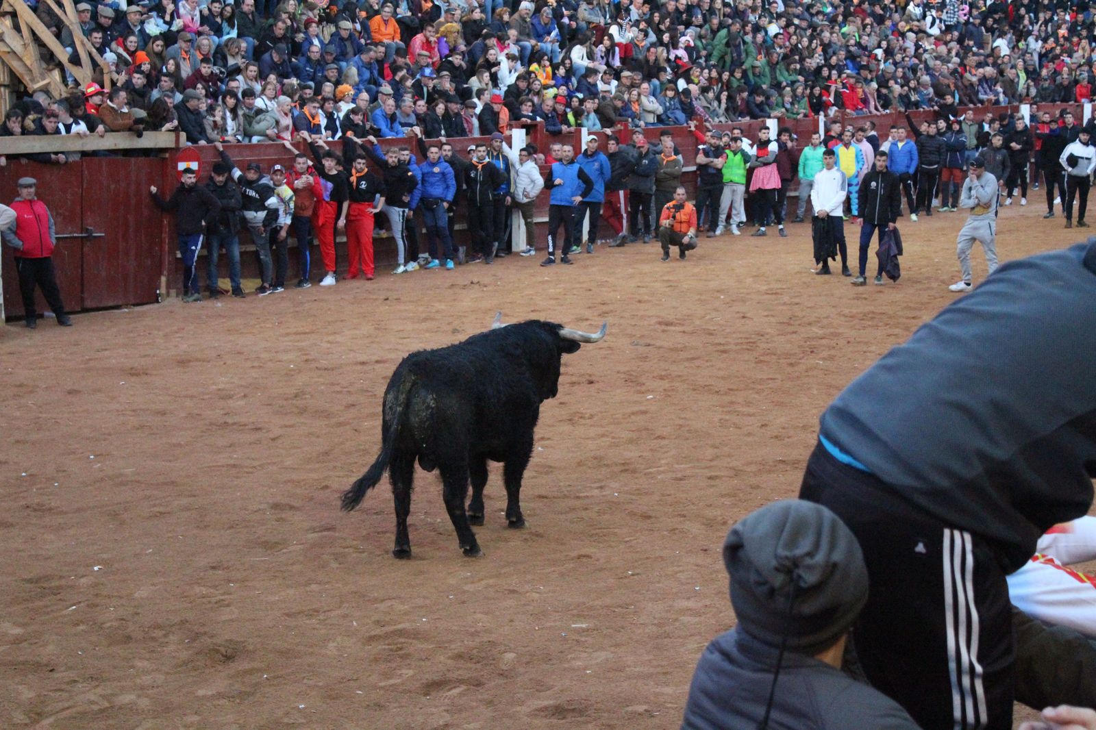Capea de Ciudad Rodrigo (1)