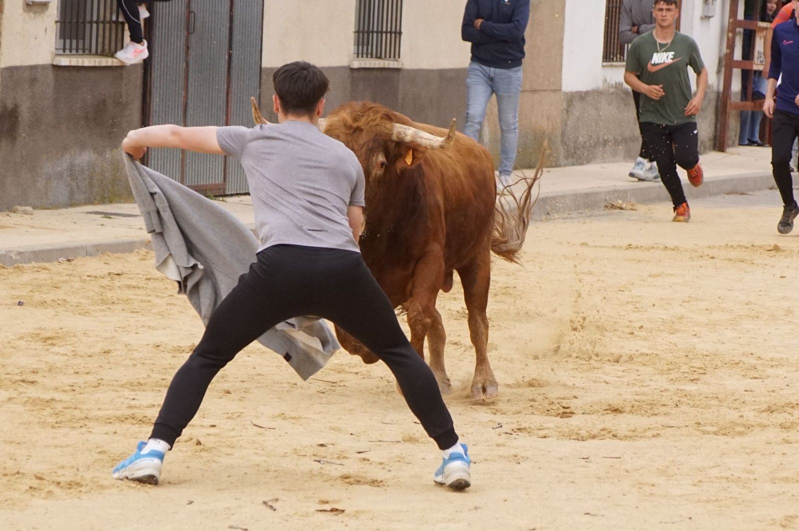 Villoria, toro del Voto