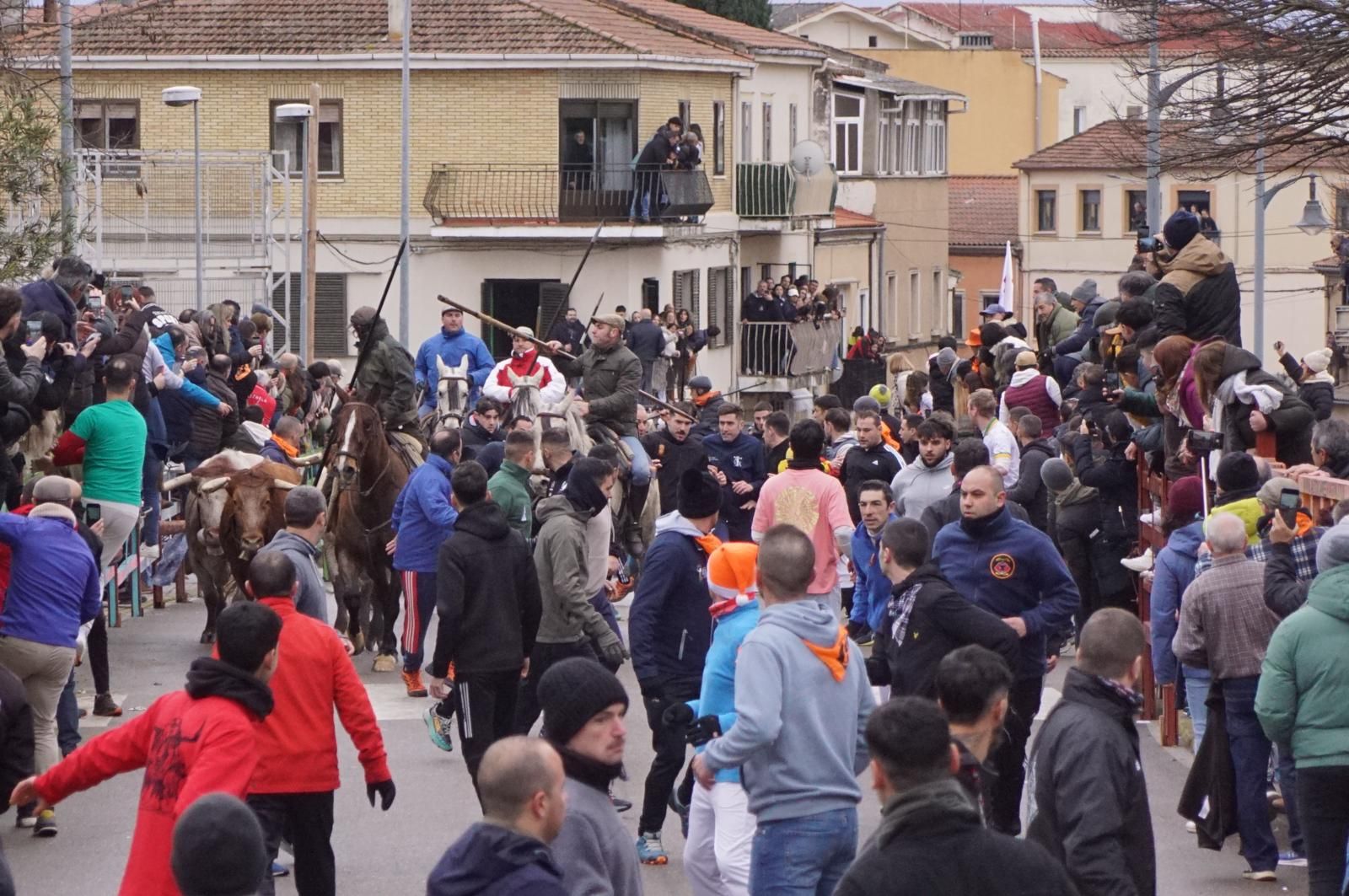 Encierro a Caballo en el Carnaval del Toro 2026 de Ciudad Rodrigo
