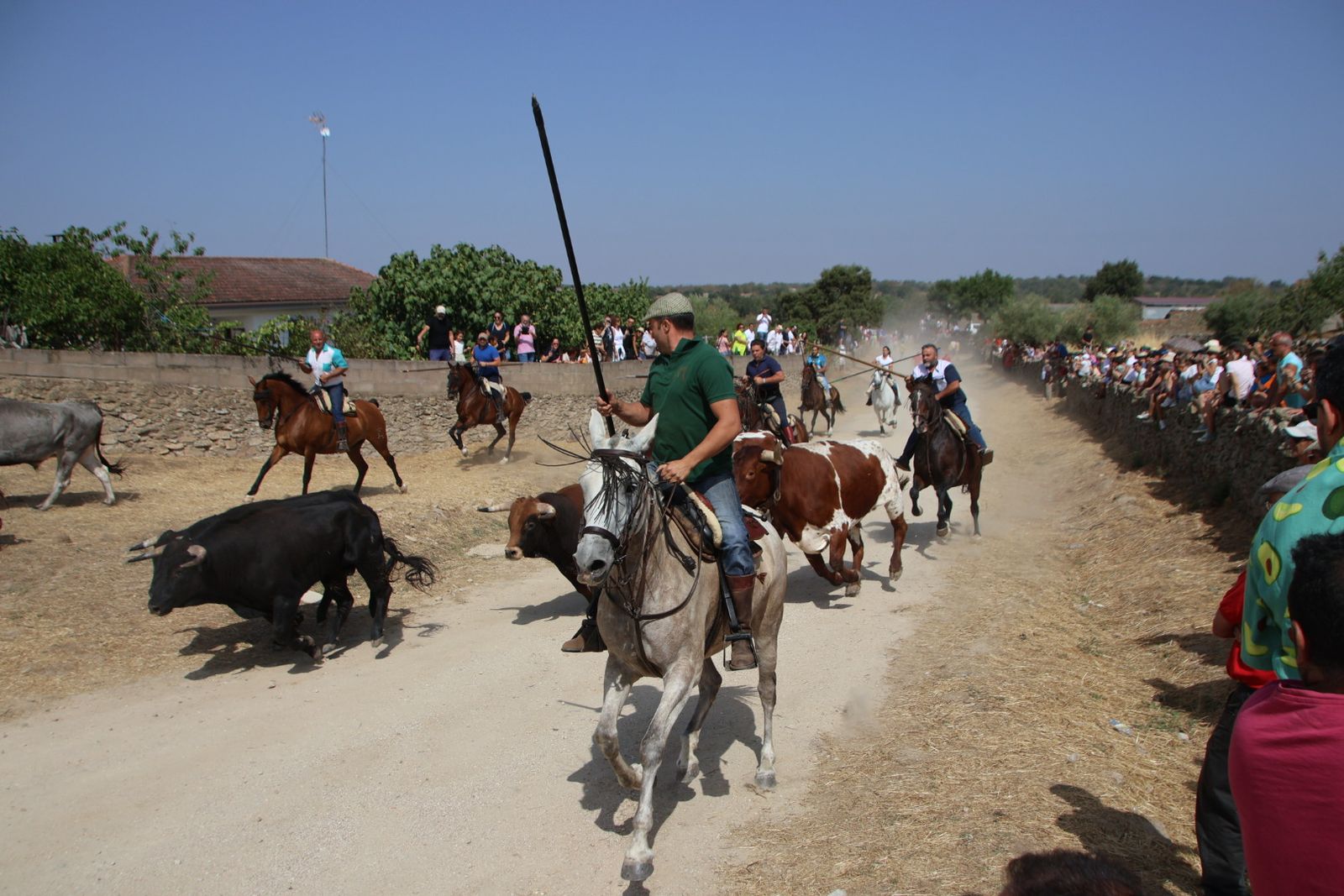 Lumbrales encierro a caballo martes 26 de agosto