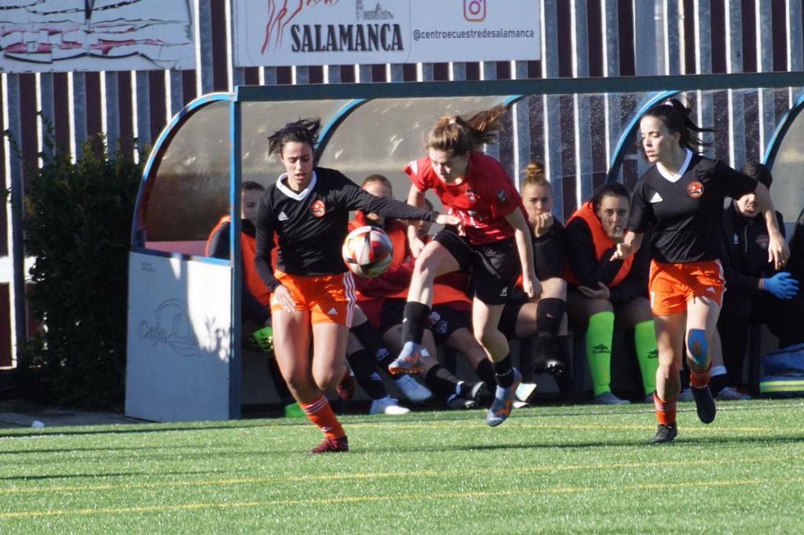 whatsapp-image-2024-01-21-at-13-04-11-1