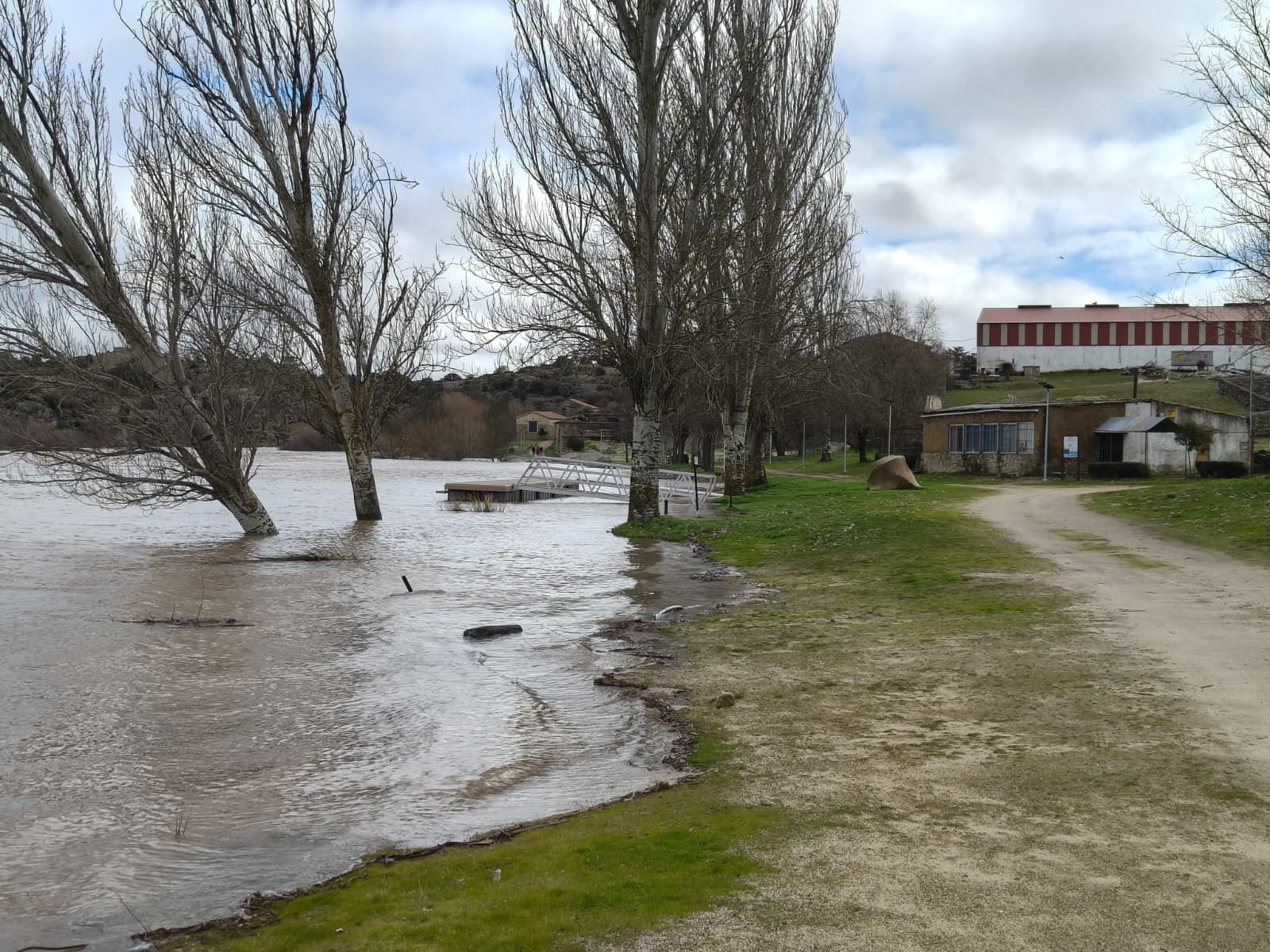 El Tormes desbordado en Ledesma  (4).jpeg