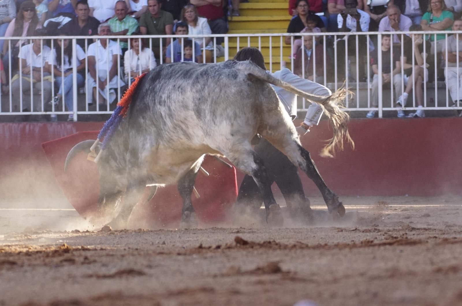 whatsapp-image-2024-09-07-at-20-48-14-7