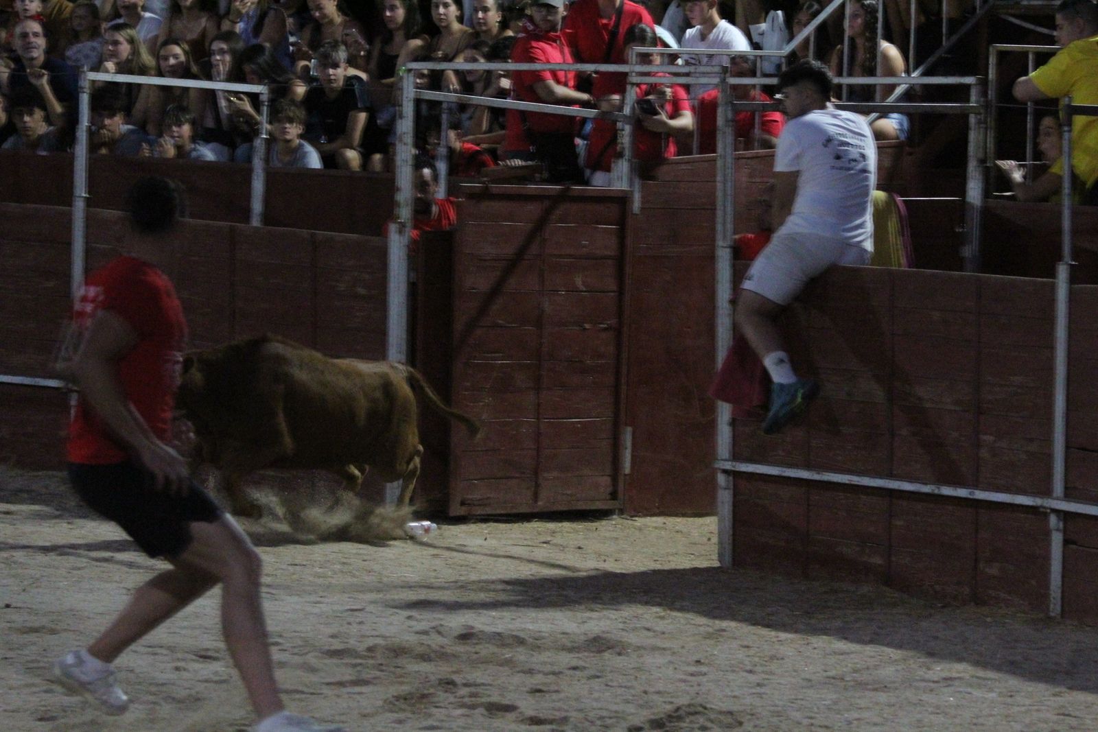 Así se ha vivido el Grand Prix de Carbajosa de la Sagrada y la posterior vaquilla