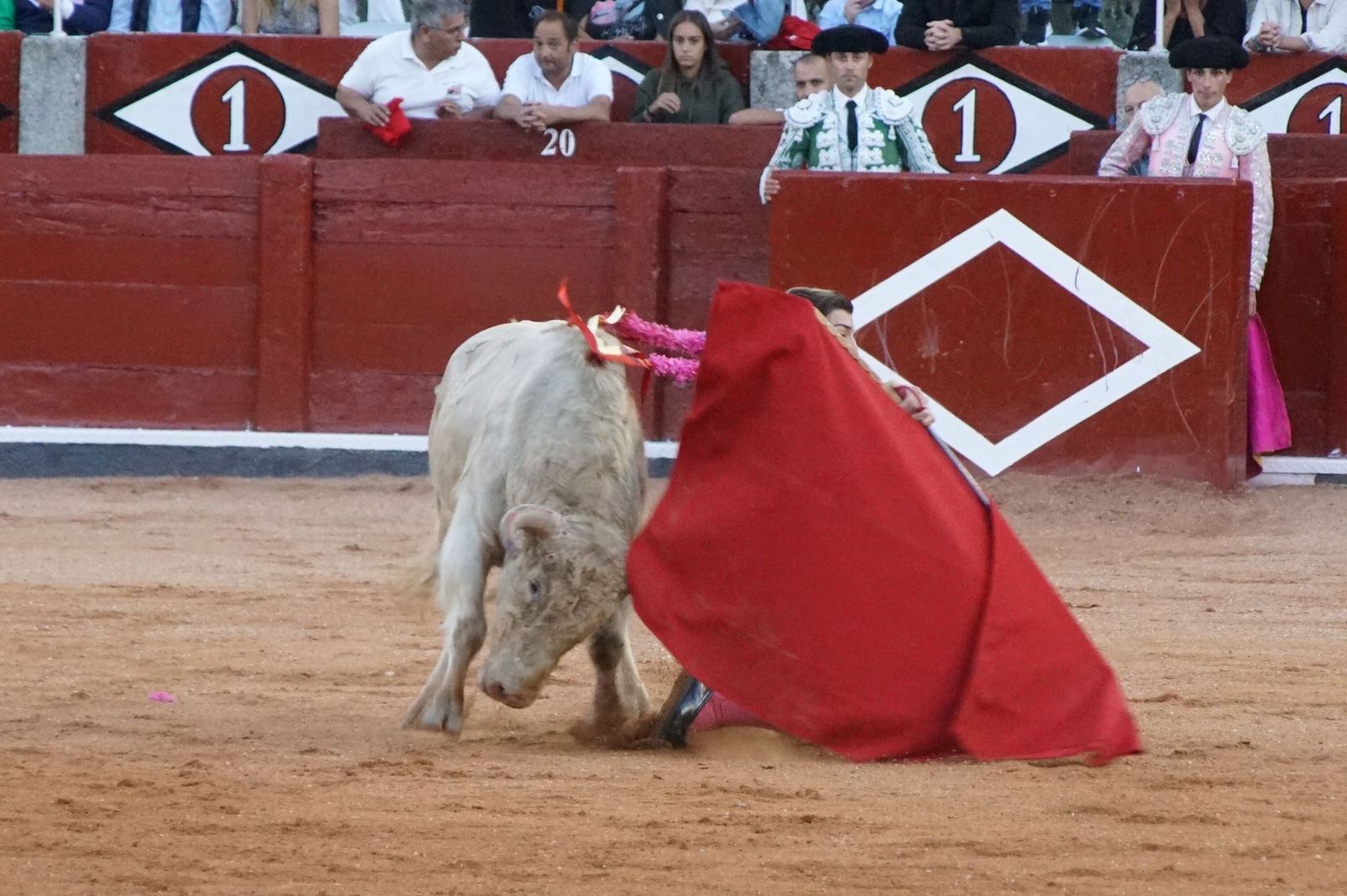 whatsapp-image-2022-09-08-at-9-21-45-pm