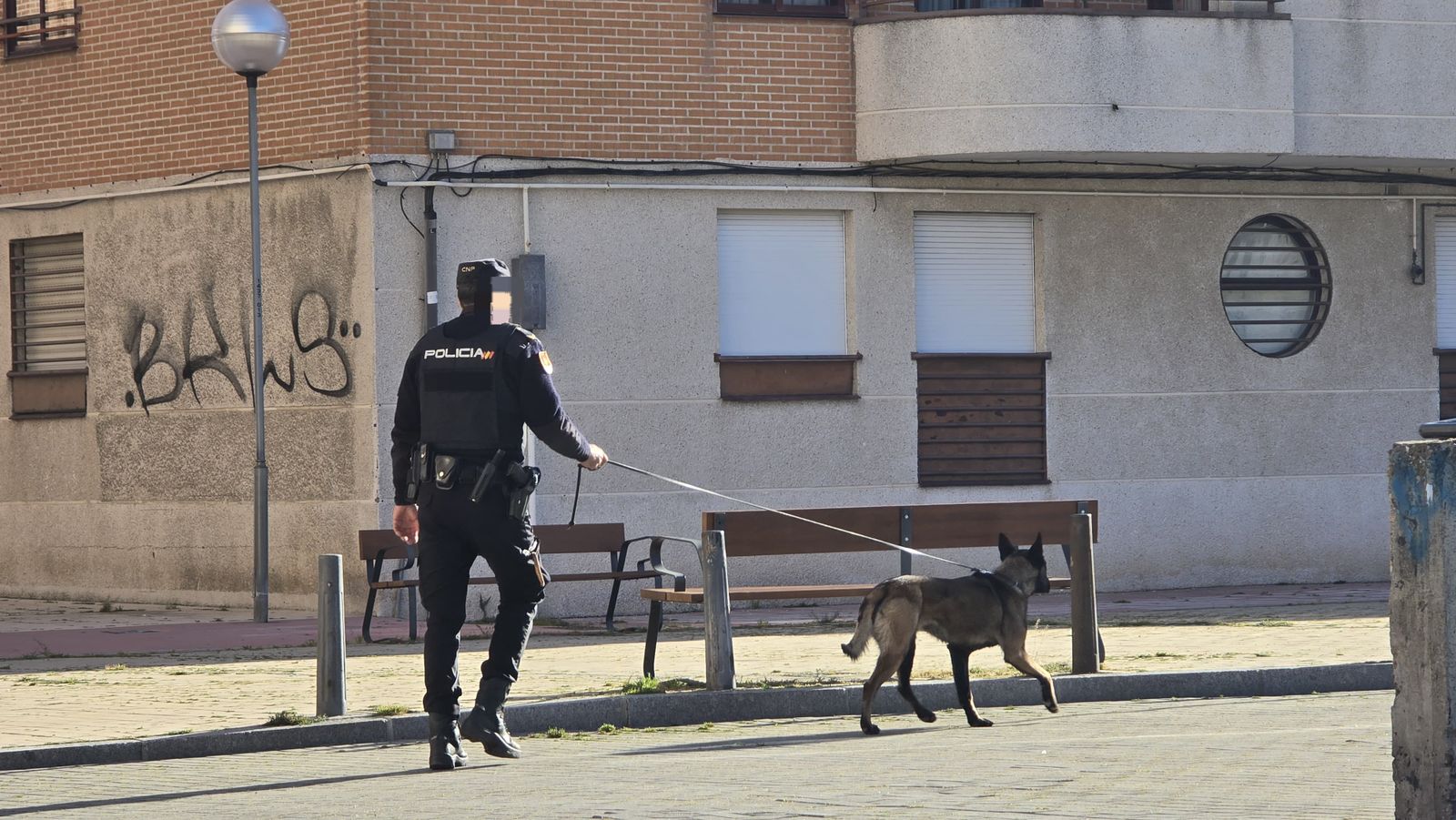 whatsapp-image-2025-04-08-at-09-49-14