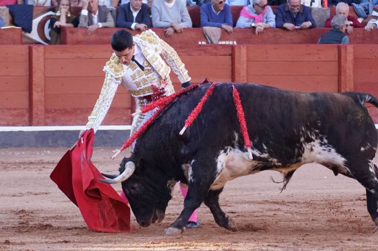 La corrida concurso para despedir la feria con Morante, Talavante y Borja Jiménez: imágenes de los mejores momentos en La Glorieta