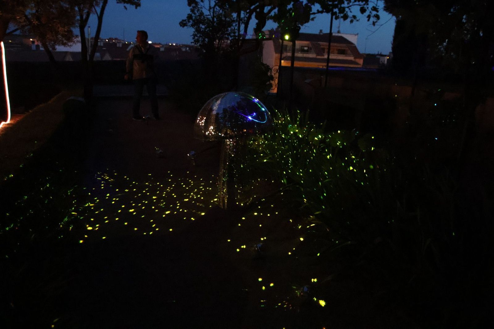 20240613213452-img-7536