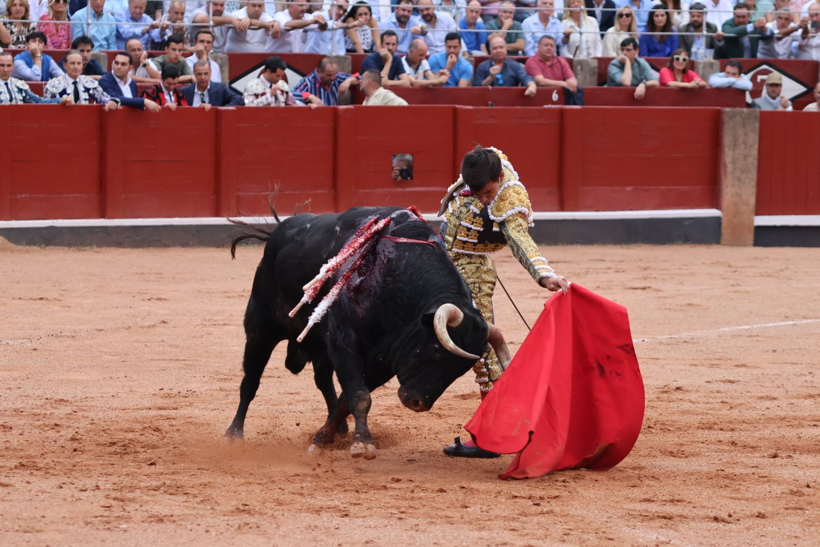 Ismael Martín, Marco Pérez y el aclamado regreso de Morante de la Puebla: su paso por La Glorieta en imágenes