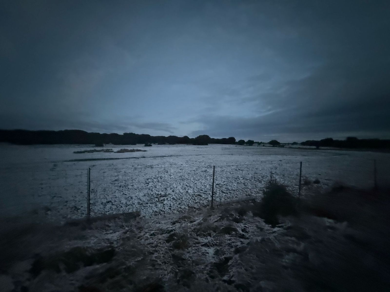 whatsapp-image-2025-03-02-at-07-58-11-2