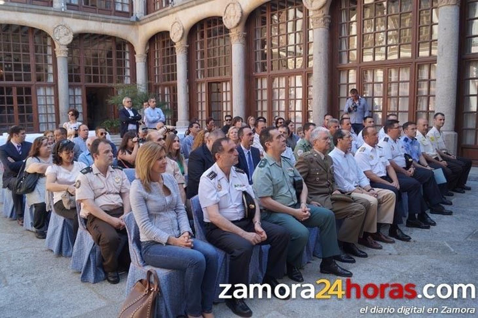 Distinciones vigilantes y detectives privados