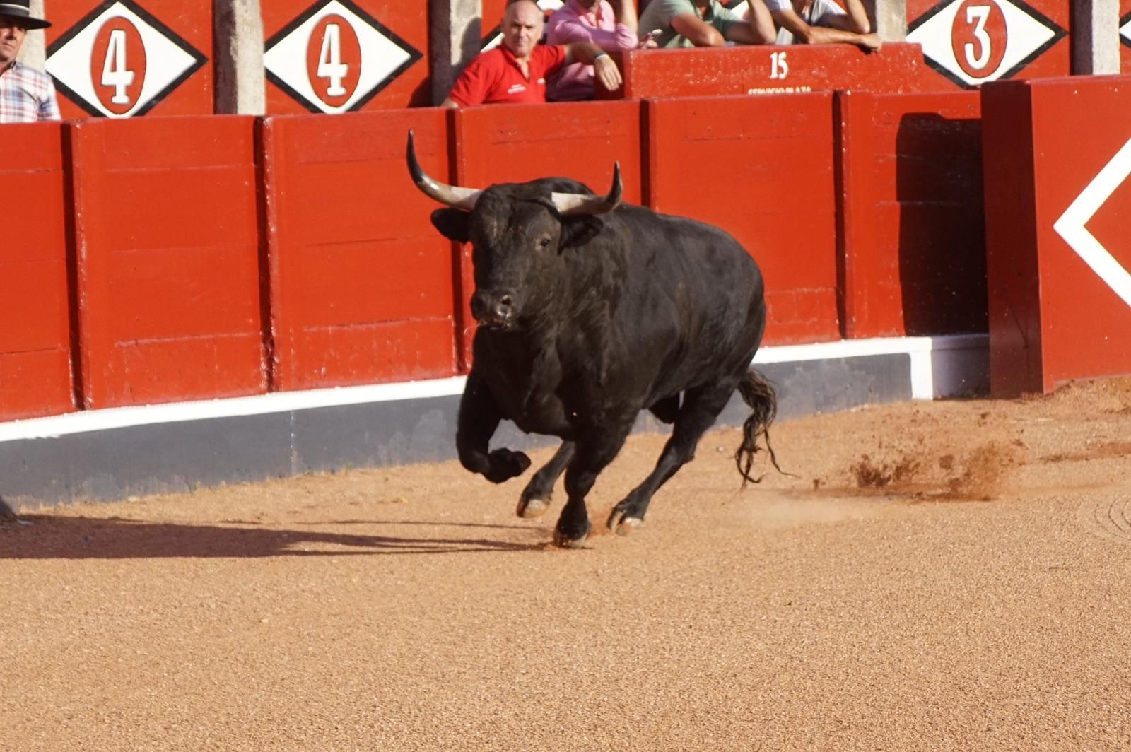 whatsapp-image-2023-09-08-at-19-29-32-1