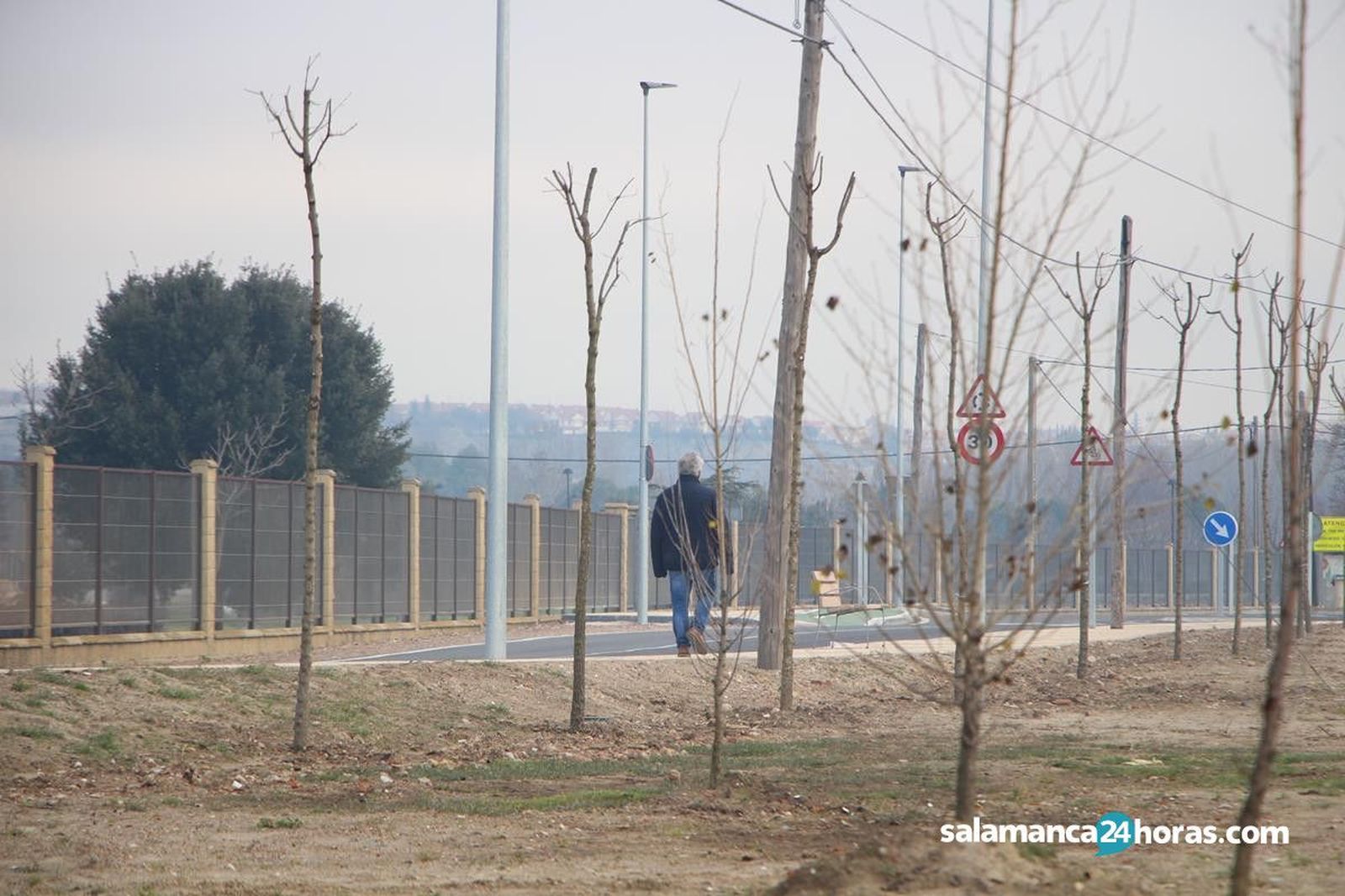 Cañada de La Aldehuela (09 01 2020) (10) (Copy)