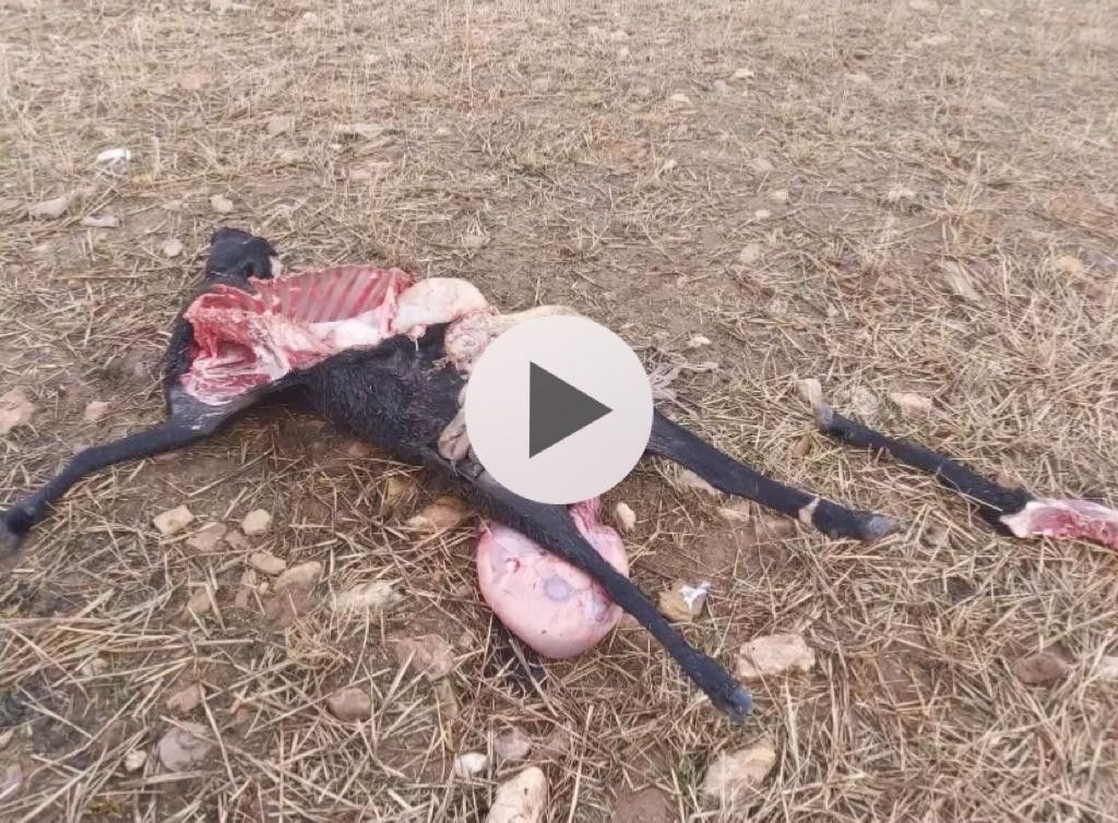 WhatsApp Image 2020 11 11 at 09.53.53