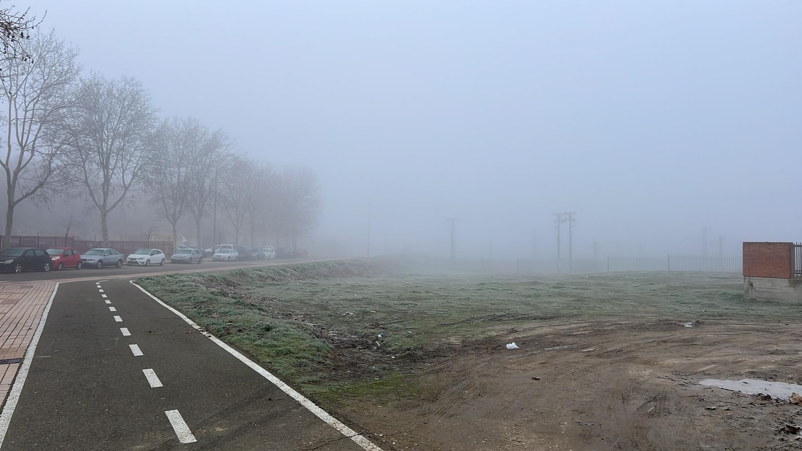 whatsapp-image-2025-02-06-at-09-31-13