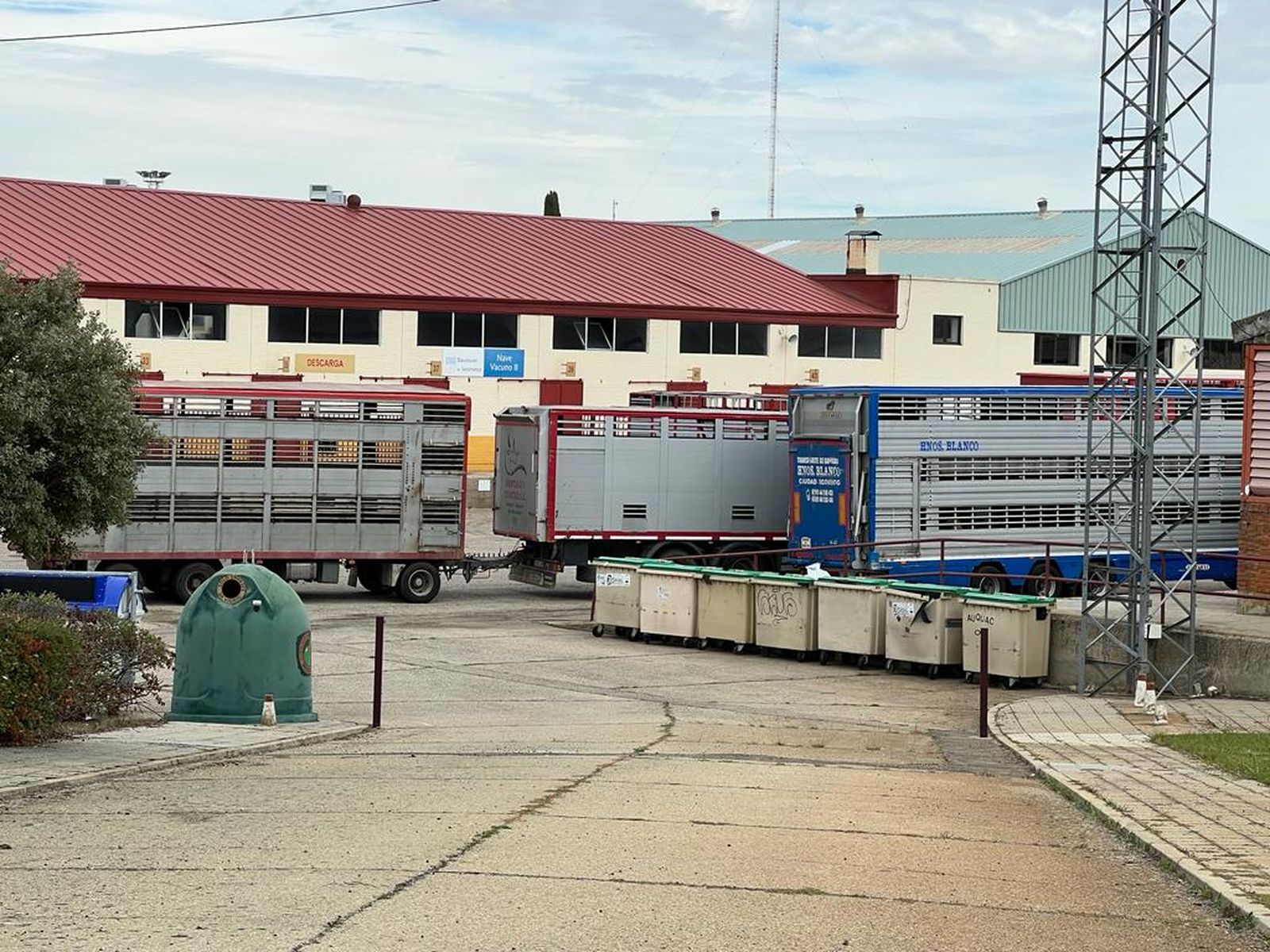 Mercado de ganados, Recinto Ferial. Foto de archivo