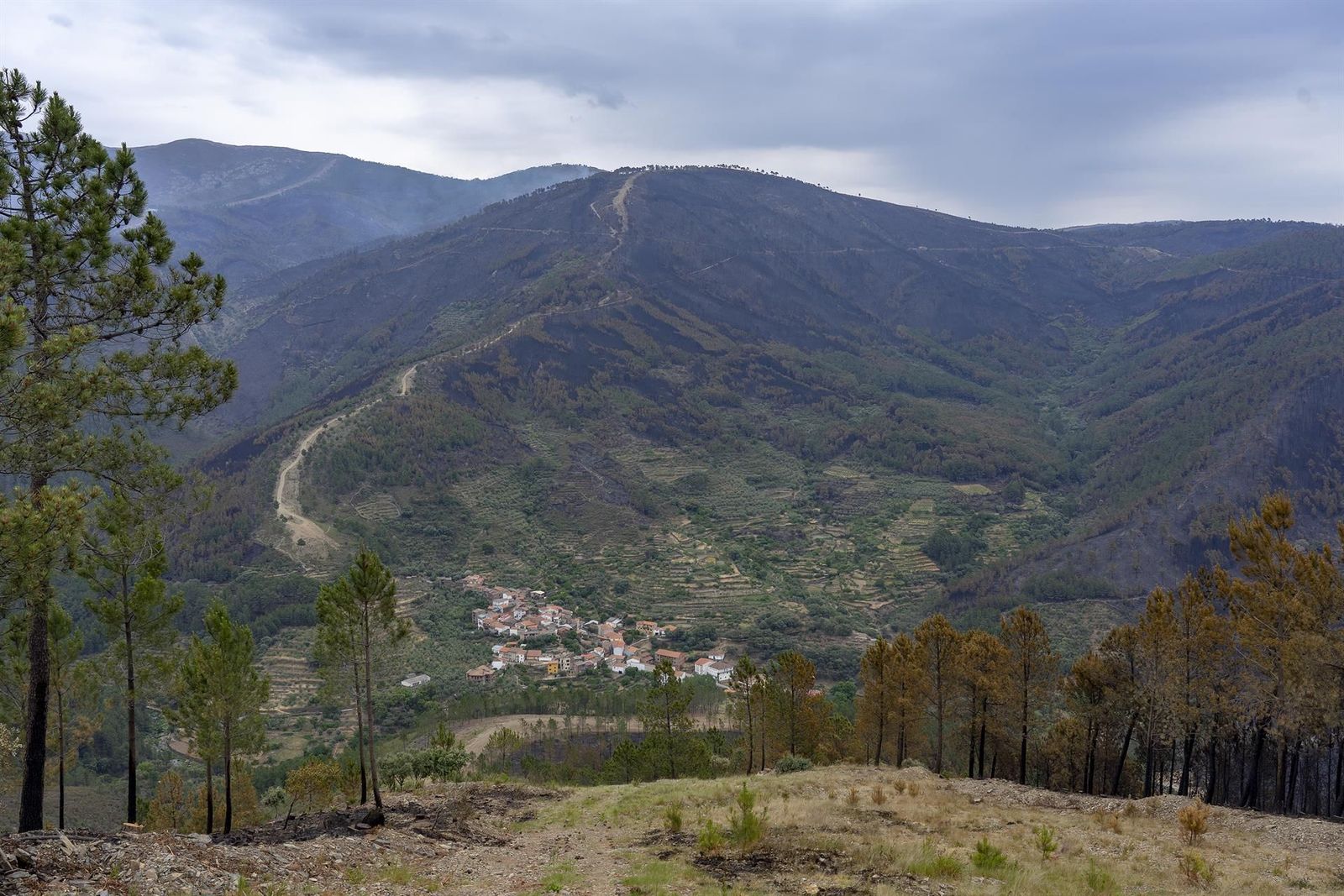 Bosque calcinado por el incendio forestal en Las Hurdes.   Carlos Criado   Europa Press