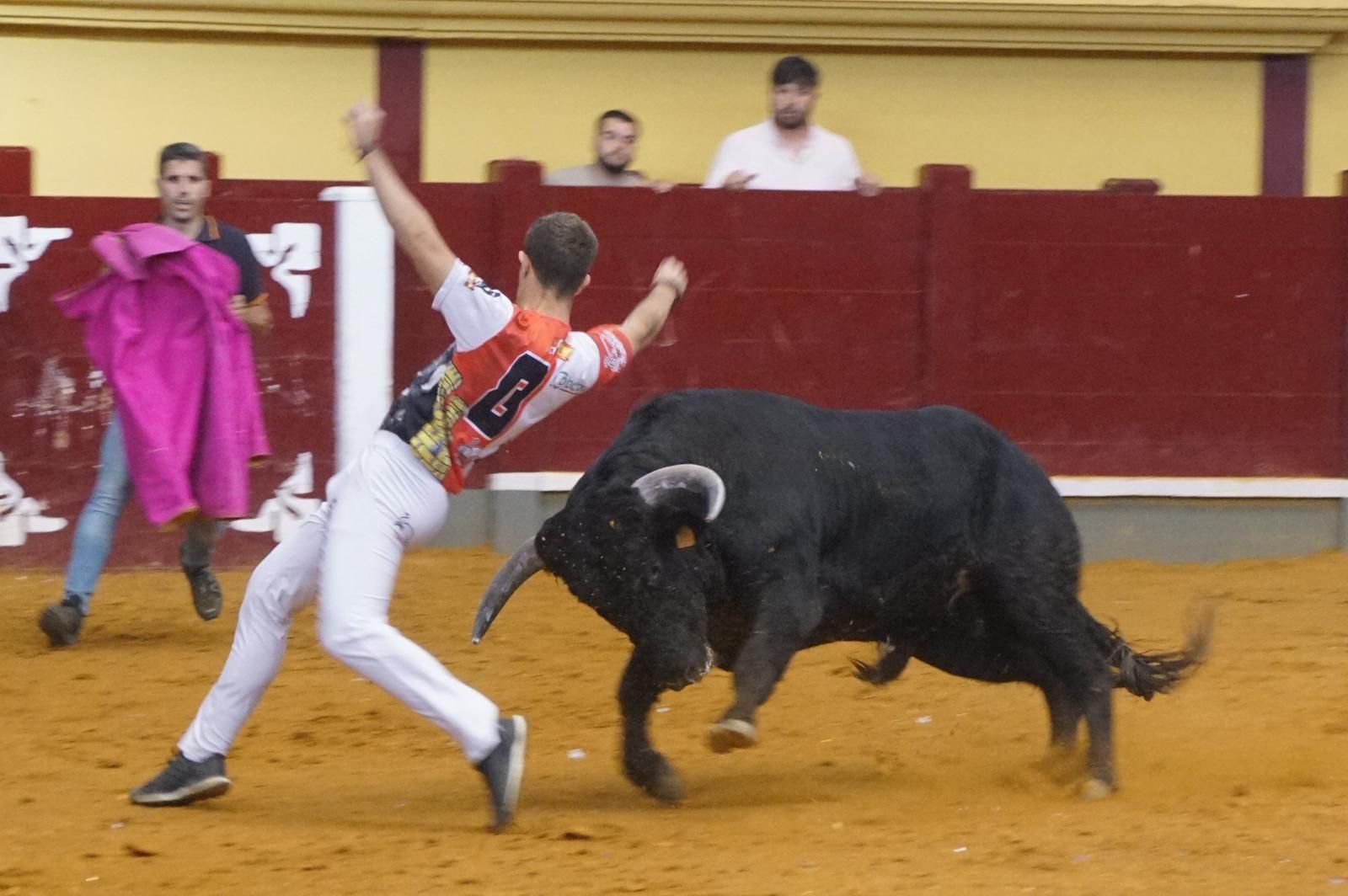 Alba de Tormes celebra un nuevo concurso de cortes