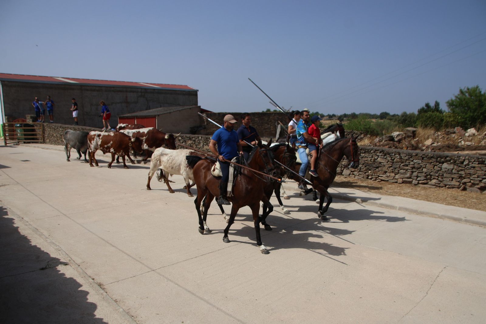 Lumbrales encierro a caballo, dia 2