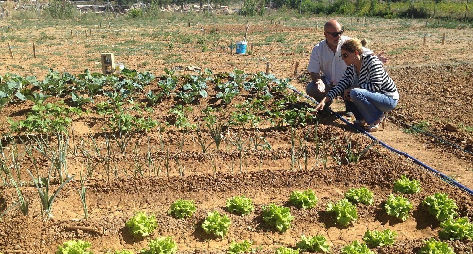 Visita institucional a los nuevos huertos de ocio de Santa Marta