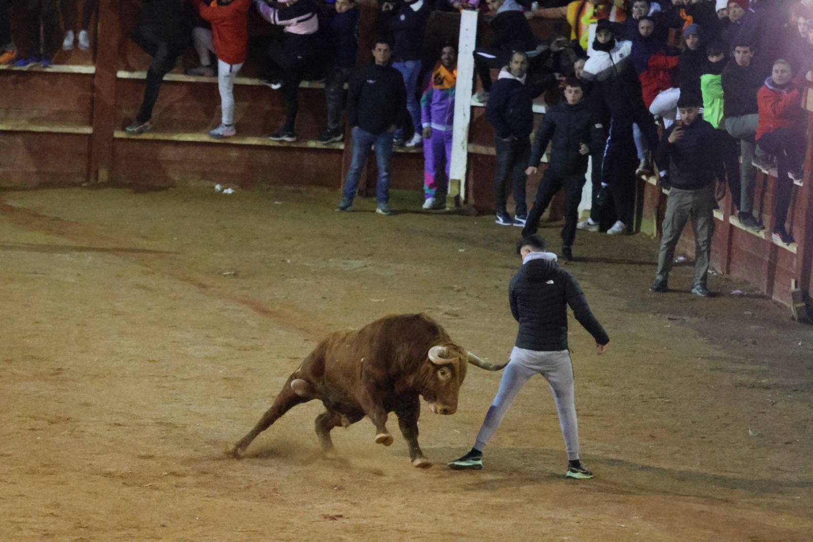 Capea de Sábado tarde en el Carnaval del Toro de Ciudad Rodrigo